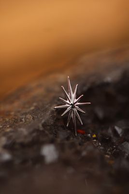 Threaded White Gold North Star Top