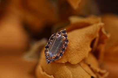 Threaded Rose Gold Deco Altura Top