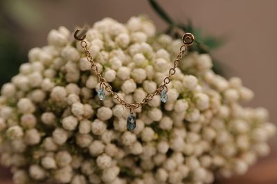 Chains and Charms