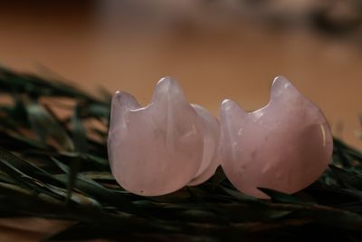 Plugs