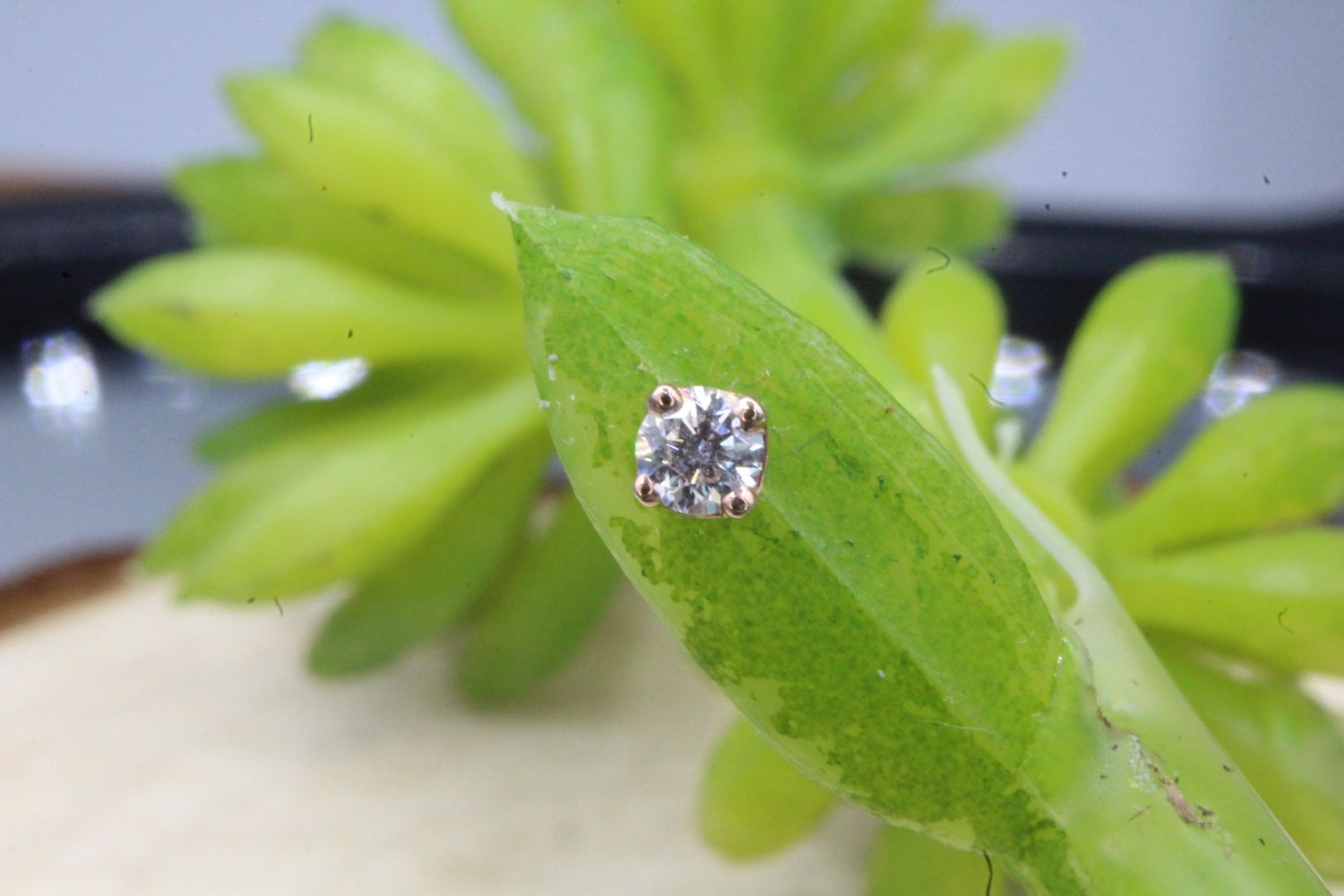 Threadless Rose Gold Prong Set White CZ, Size: 2.25mm