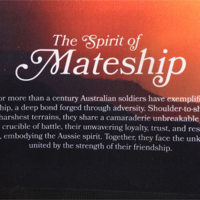 Bar Runner - The Spirit of Mateship
