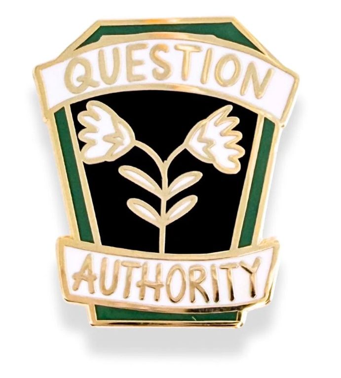 Jubly-Umph - Question Authority Pin