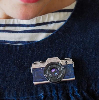Picture Perfect Brooch
