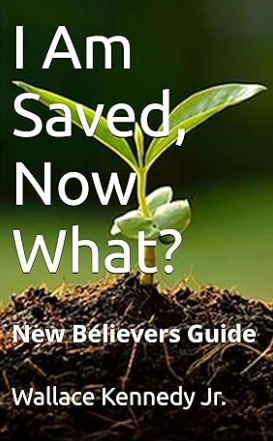 I am Saved, Now What?