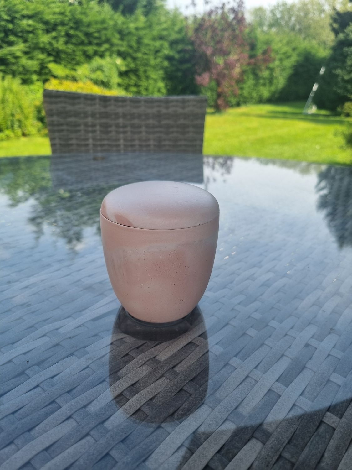 &#39;Citronella &amp; Lemongrass&#39; - 200g insect repellent candle