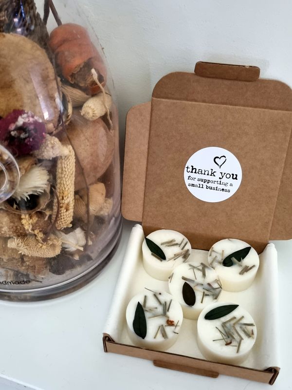 &#39;Mankind&#39; - 5 large wax melts