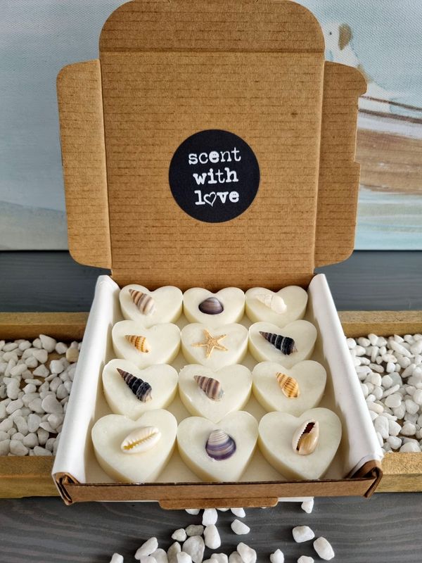 &#39;Seaweed &amp; Juniper&#39; - 12 small wax melts