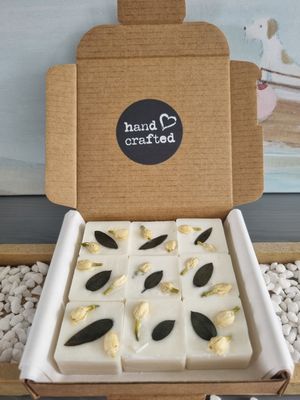 'Coconut Island' - large wax melts