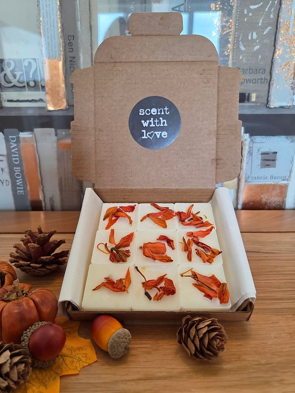 &#39;Frozen Pumpkin&#39; - large wax melts