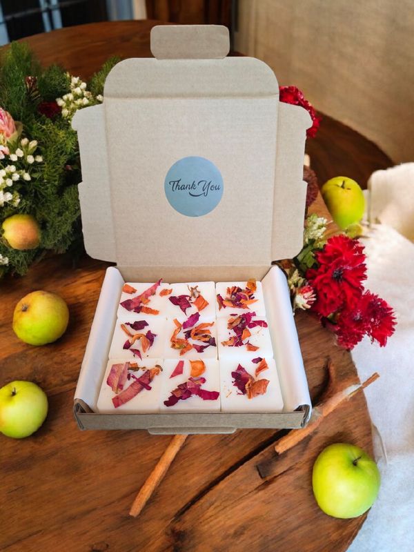 &#39;Cinnamon &amp; Apple&#39; - 9 wax melts