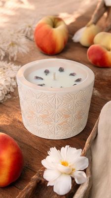 'Sweet Peach Dream' - 350g candle (handmade pot)