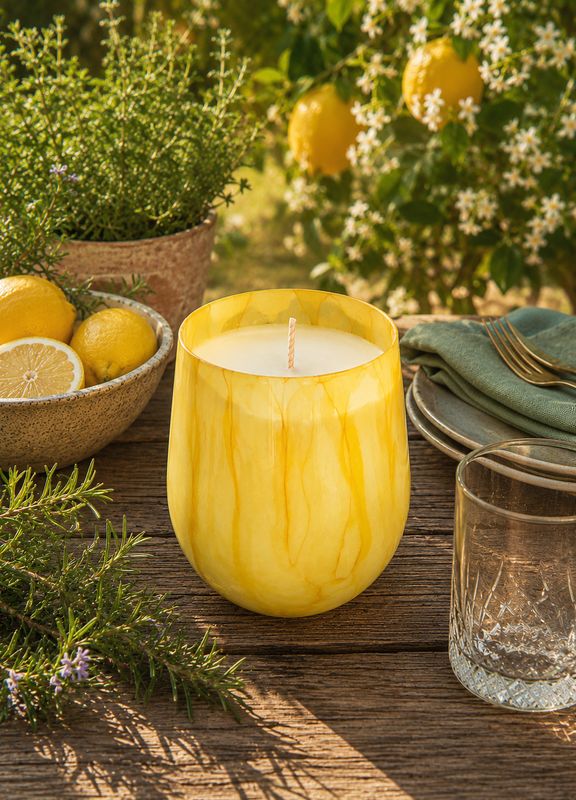 'Citronella &amp; Lemongrass' - 400g insect repellent candle