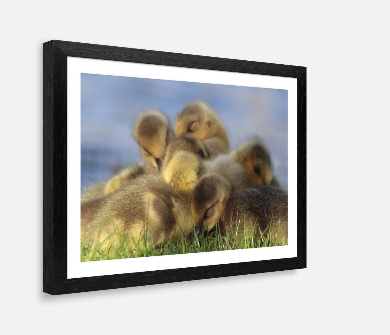 Cuddling Babies Framed Print