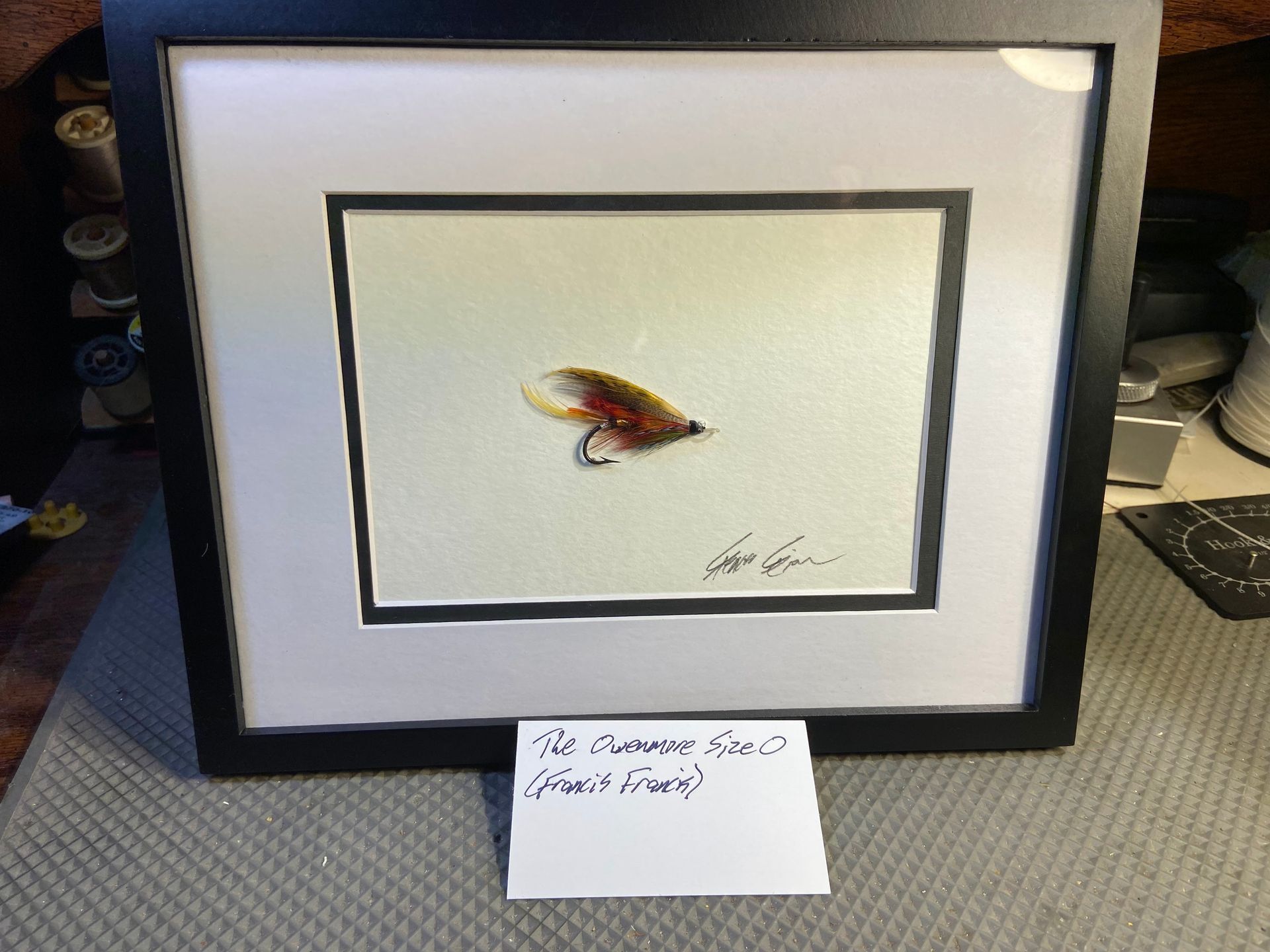 Salmon fly framed