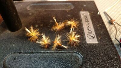 Nymphs dozen