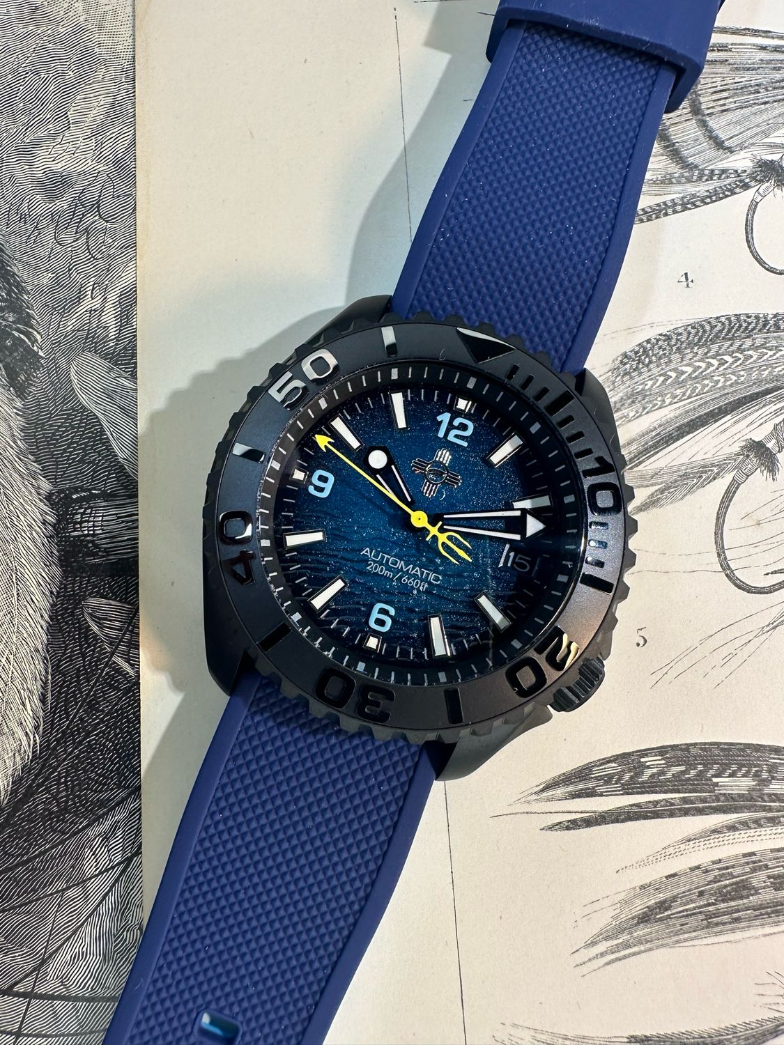 Seimex Oceanic