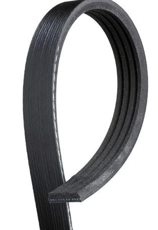 Serpentine V Belt K040570