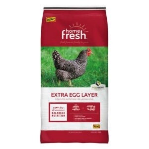 Extra Egg Chicken Layer Feed