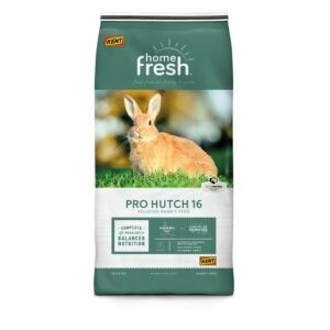 Rabbit Pro Hutch 16