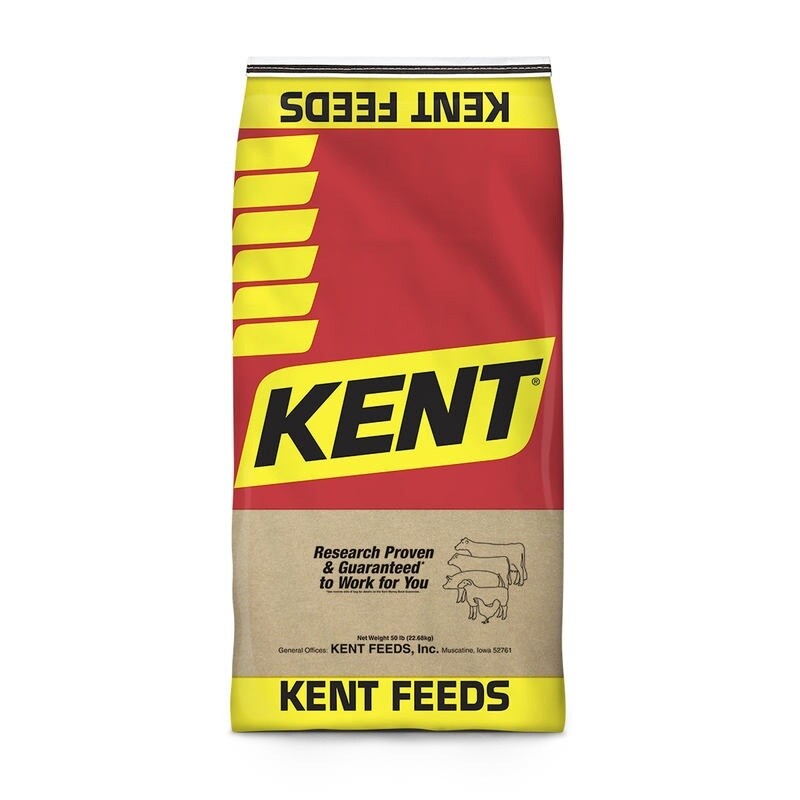 34 Lamb Supplement 150B