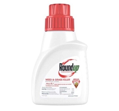 Roundup  Concentrate 16 oz