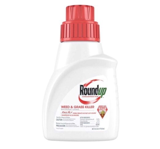 Roundup Concentrate 16 oz