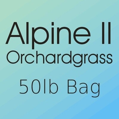 Alpine II Orchardgrass