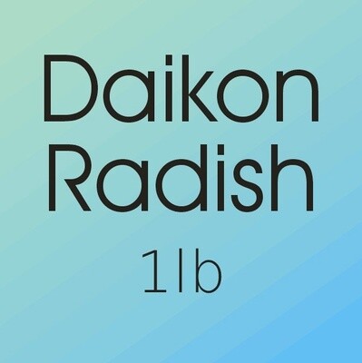 Daikon Radish lb