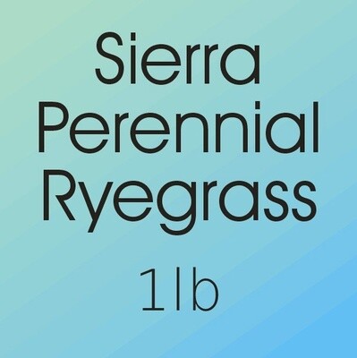 Sierra Perennial Ryegrass - lb