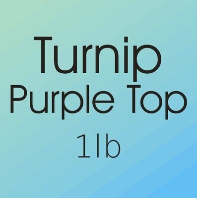 Turnips/Purple Top lb