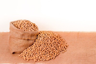 Seeds