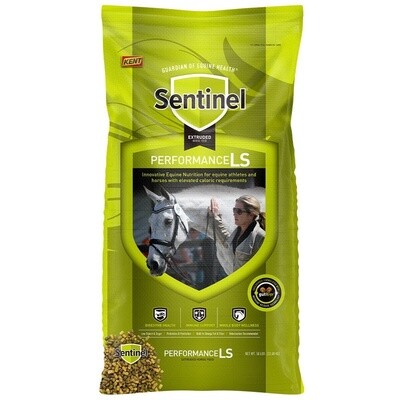 Sentinel Performance