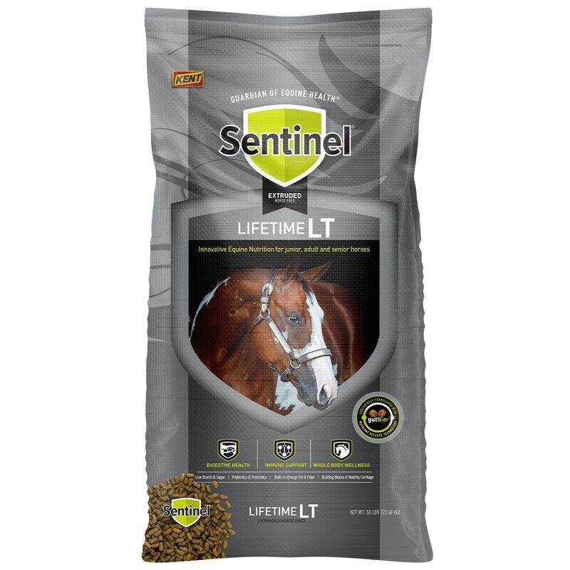 Sentinel LifeTime