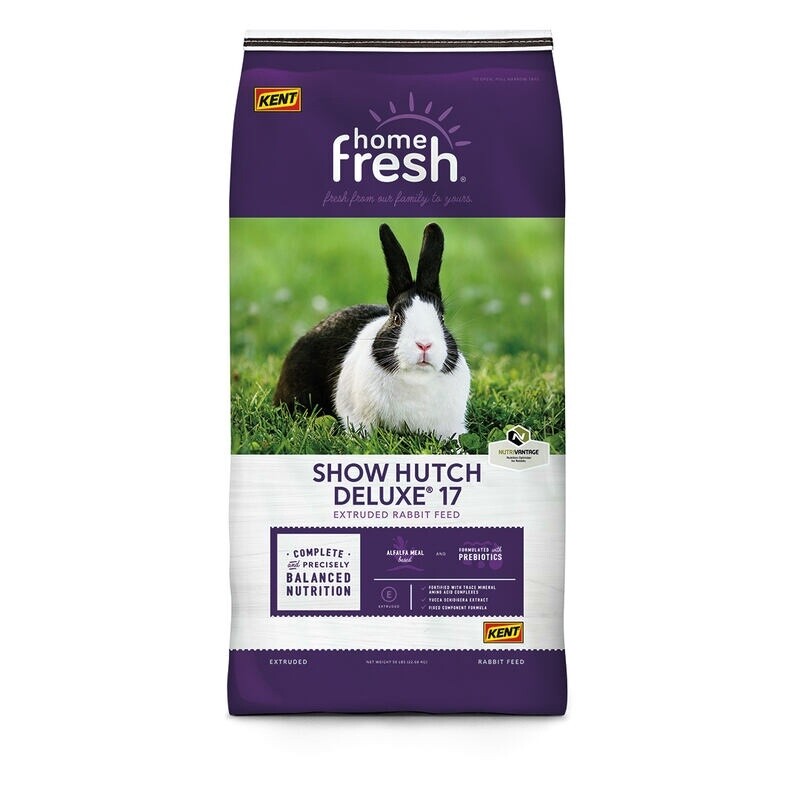Rabbit Show Hutch 17