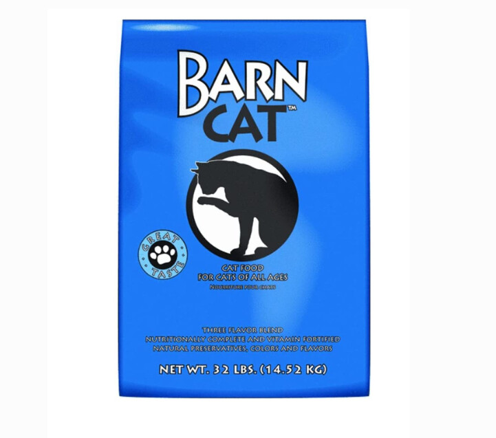 Barn Cat