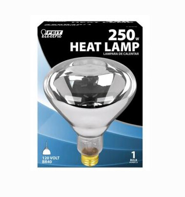 Heat Lamp Bulb Clear - 250W