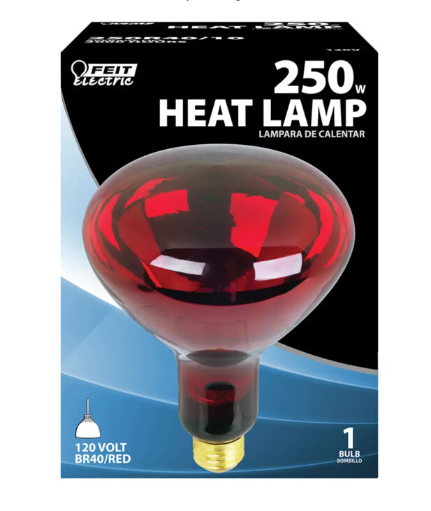 Heat Lamp Bulb Red - 250W