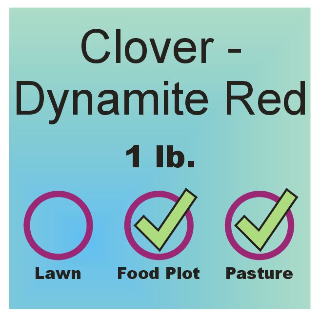 Clover - Red Dynamite lb