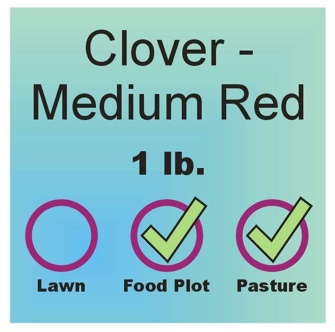 Clover - Medium Red lb