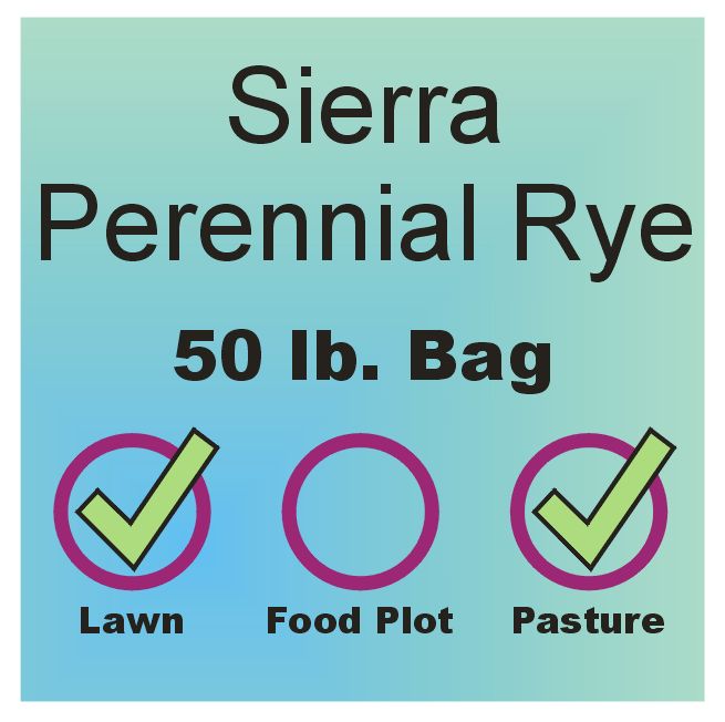 Ryegrass - Sierra Perennial - 50 lb. bag