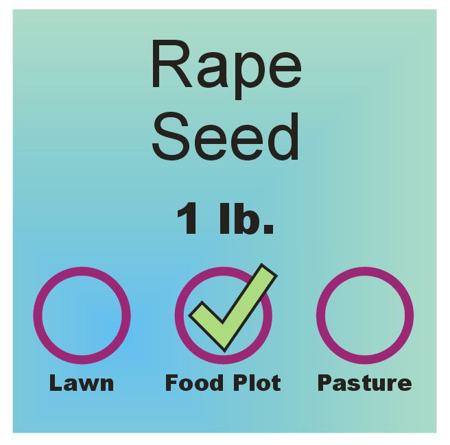 Rape - Dwarf Essex Seed lb