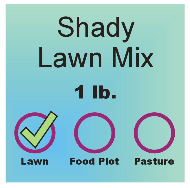 Lawn Grass Seed - Shady Mix lb