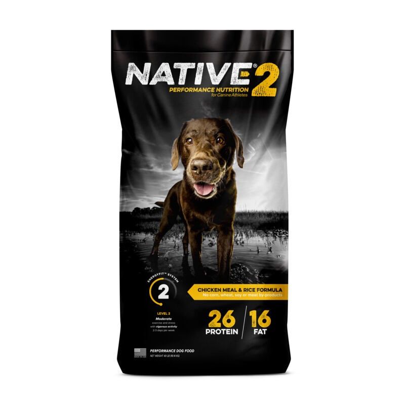 Native 2