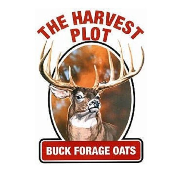 Oats - Buck Forage lb