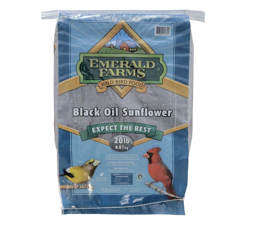 Bird Feed Black Oil Sunflower Seeds - 20 lb.