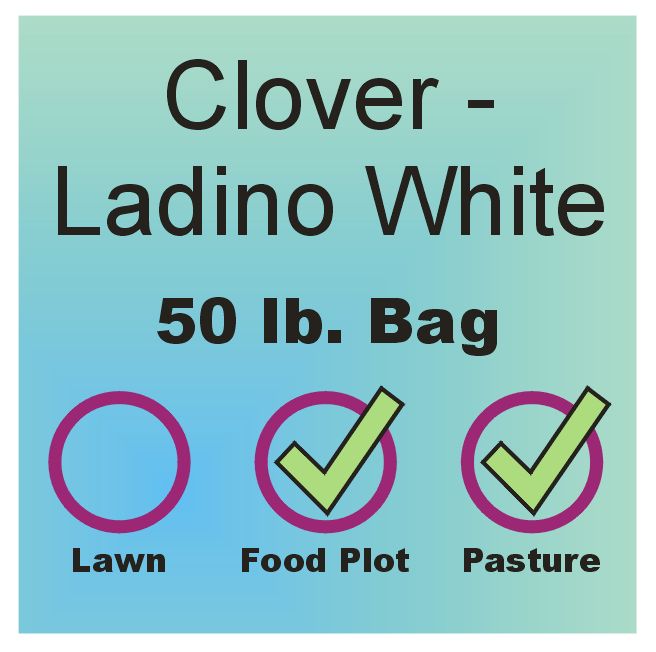 Clover - White Ladino - 50 lb. bag