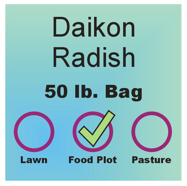 Radish - Daikon - 50 lb. bag