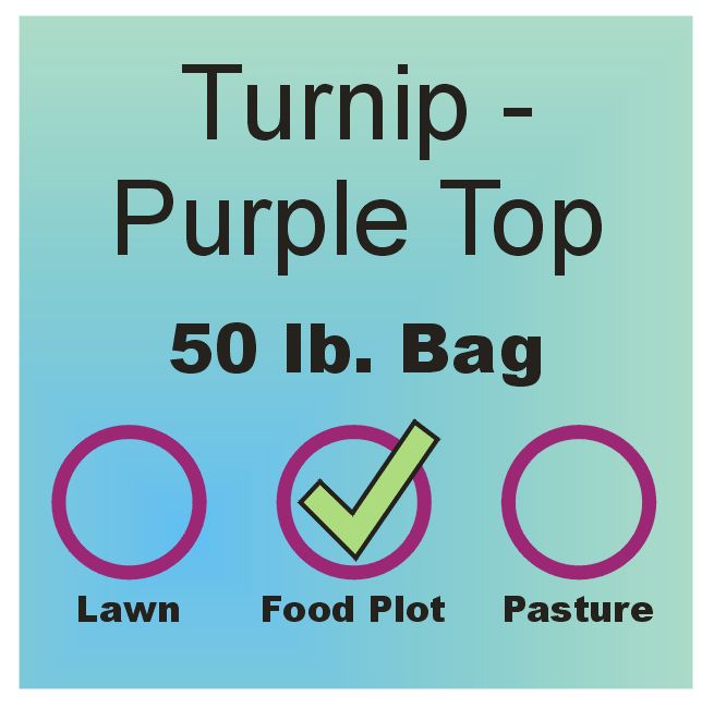 Turnip - Purple Top - 50 lb. bag