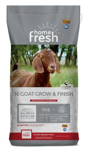 Goat Feed - 16%